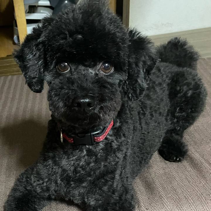 365d3291 bfea 4507 87b0 8f447003cc47 1657361369697