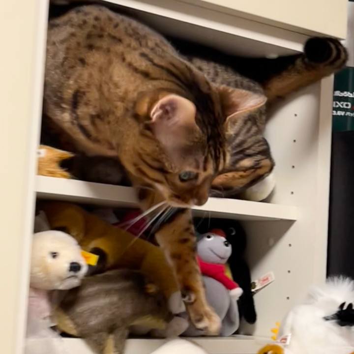 365d8070 49eb 4106 a24e 1be940cae5d5 1638224117284