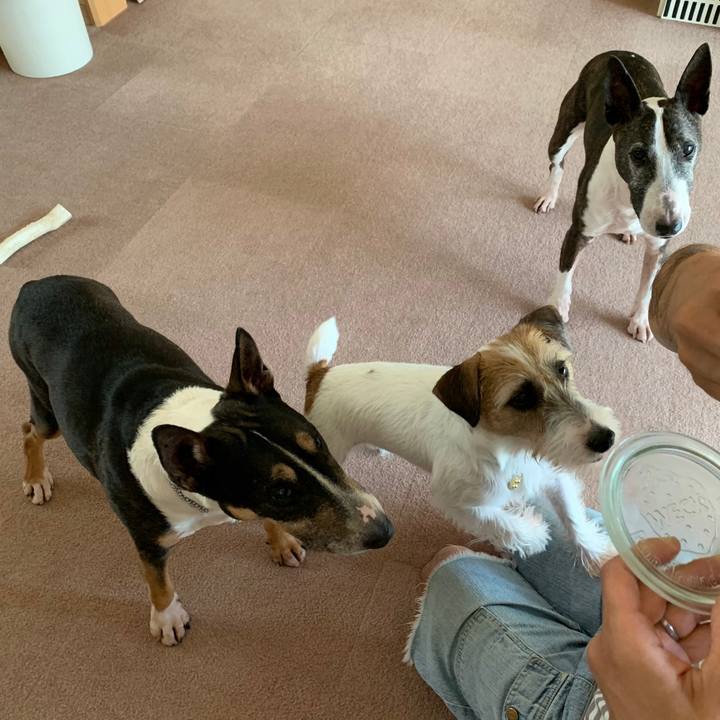 365dbd33 02be 4a55 b9df 5b6aa830b24c 1599280224312