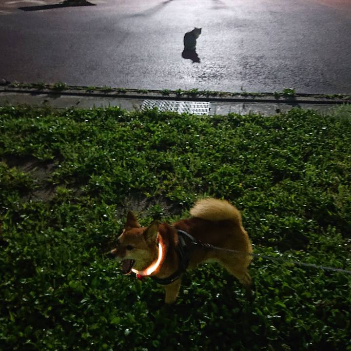 365dcd97 fe9f 46f1 b5e7 c86dffeb8b1a 1625235359579