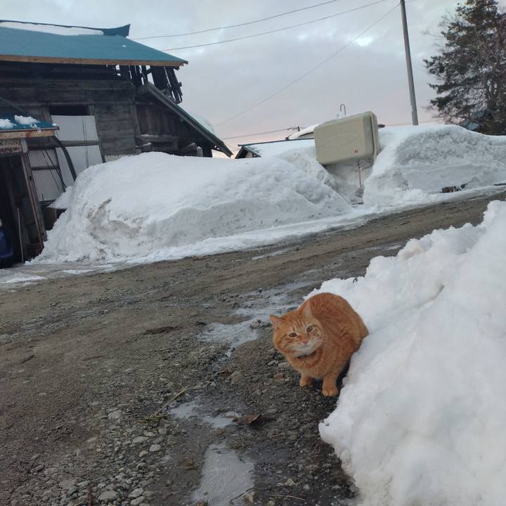 365e0191 27f7 4fb9 a60f fefd211dadbb 1676586091376