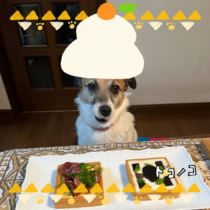 365e3431 de77 4191 86b4 042683a26166 1704082960895