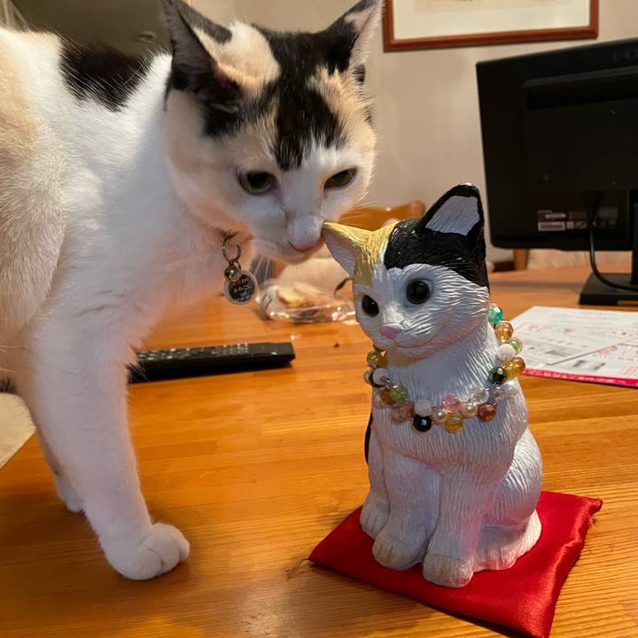 365e3748 dad3 4c30 90e5 6387ffd64b73 1746620753540