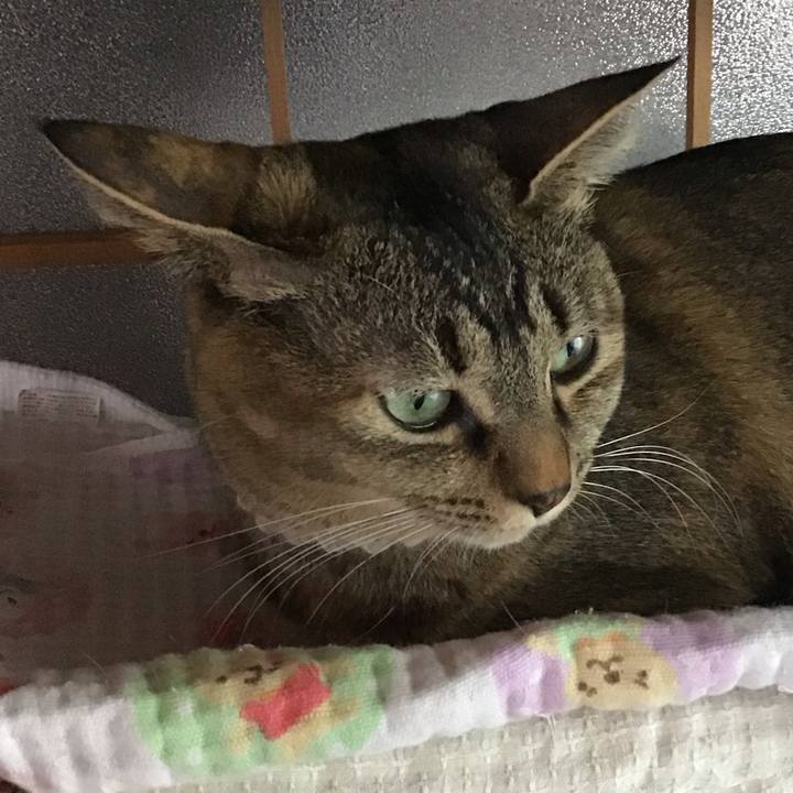 365e4548 599d 4c42 9a7e 3b2b1cee1adf 1651733285368