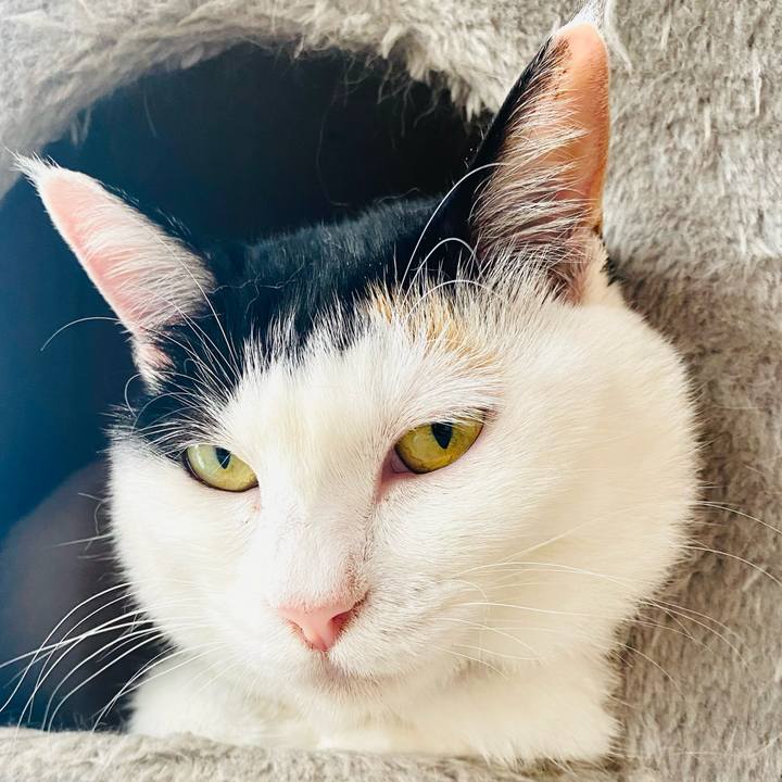 365e4cc0 1aa4 4834 874d 9b2fa87608f8 1688077124330