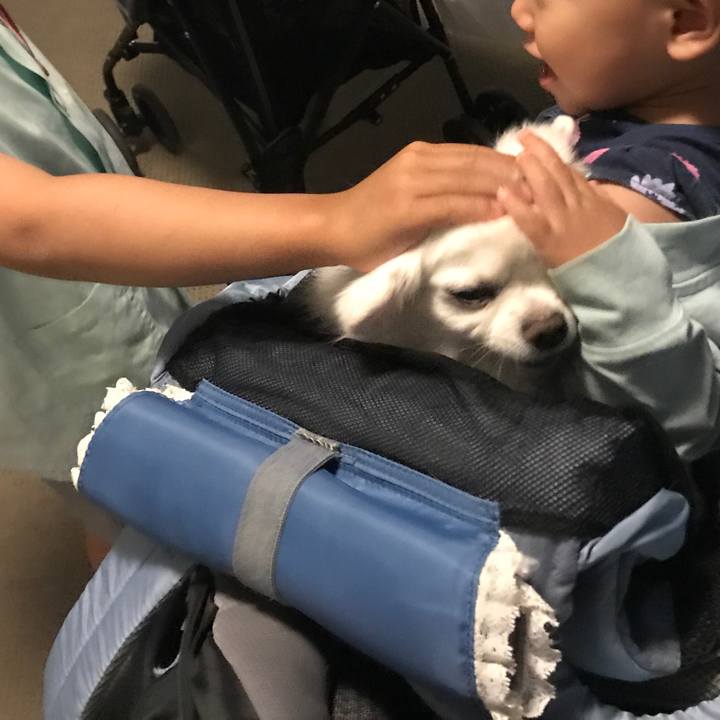 365e5348 e56b 4e76 a97b 1037a06b615b 1558849254671