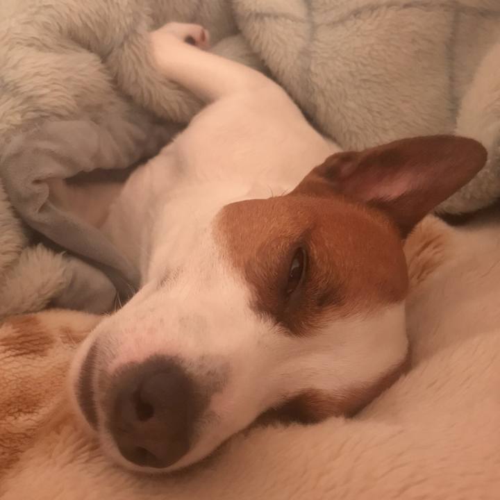 365e62f6 1ca4 4959 b552 c48f94b89f2d 1527291236430