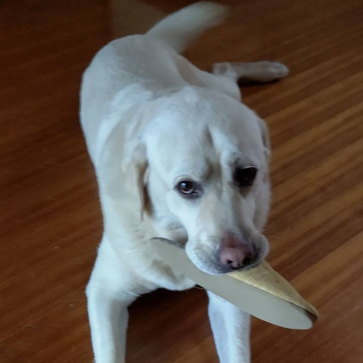 365e686a 0711 4734 a549 0f39a4b2d082 1655961291175