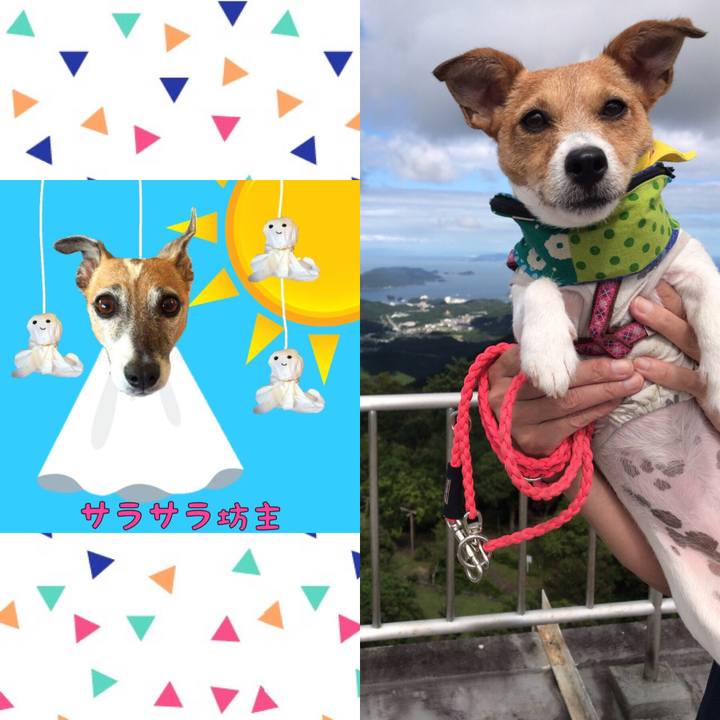 365ea93b e91a 46b6 95e7 f67324651157 1567836403163