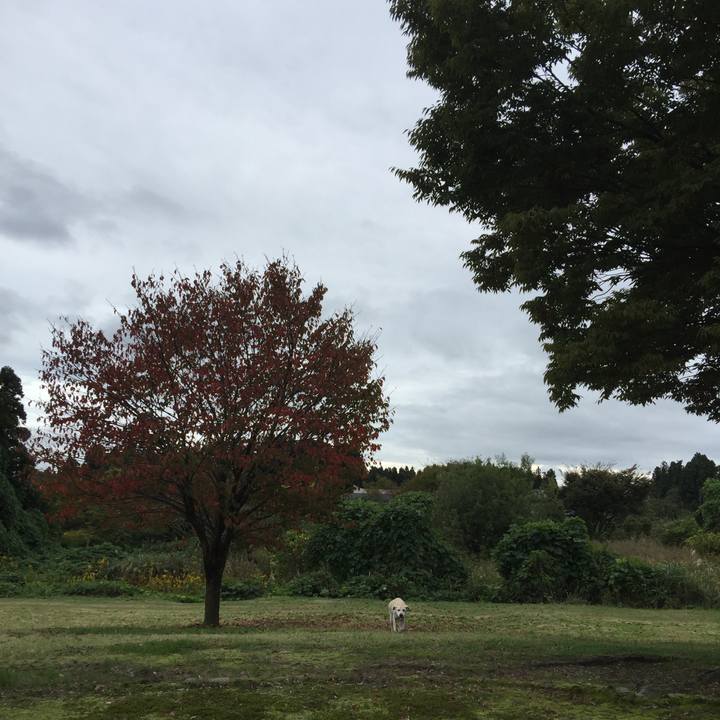 365eacc0 72ff 4606 b9dd df9fc7ce8051 1508479653548