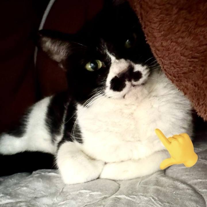 365eb4c4 be37 4780 8158 54c961a9dcbb 1737332523714