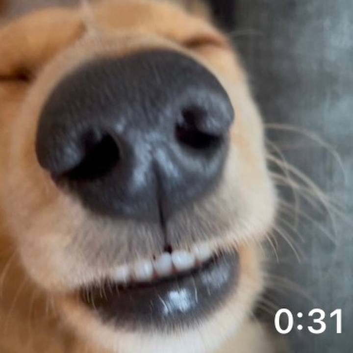 365ed304 2289 4978 89d3 60e672814b02 1687761571132