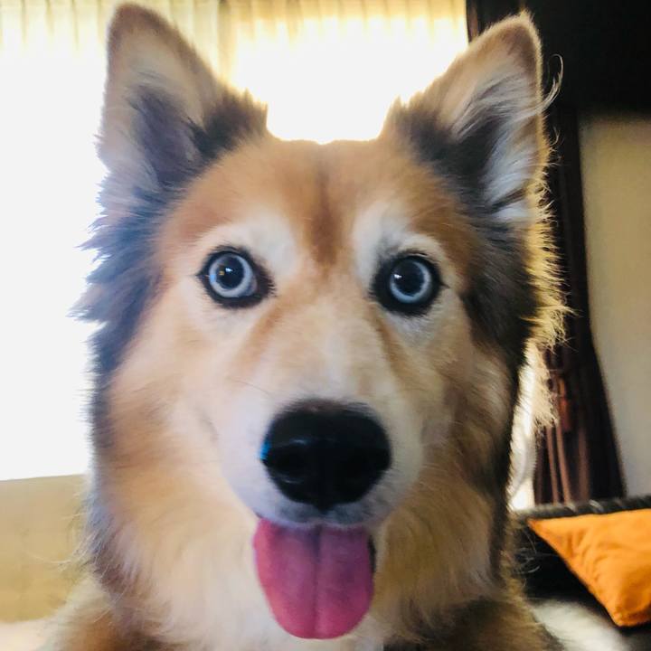 365ed6c8 729e 4b02 851f 77a90522d161 1659499181191