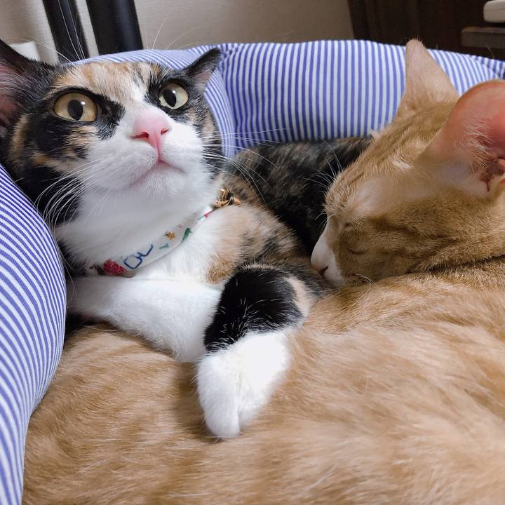 365ee819 c77f 4c66 8697 9ced2f14d28e 1568382877202