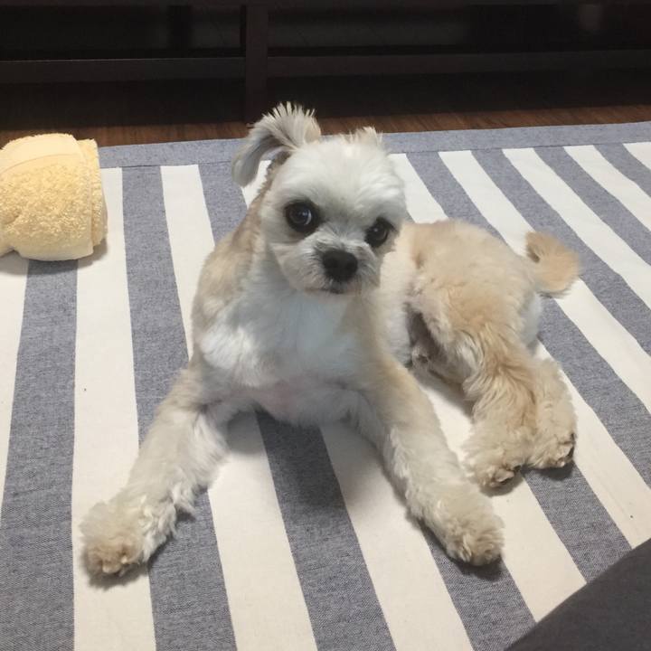 365eef74 dca4 4232 88c0 ca29f2a359f9 1559904424977