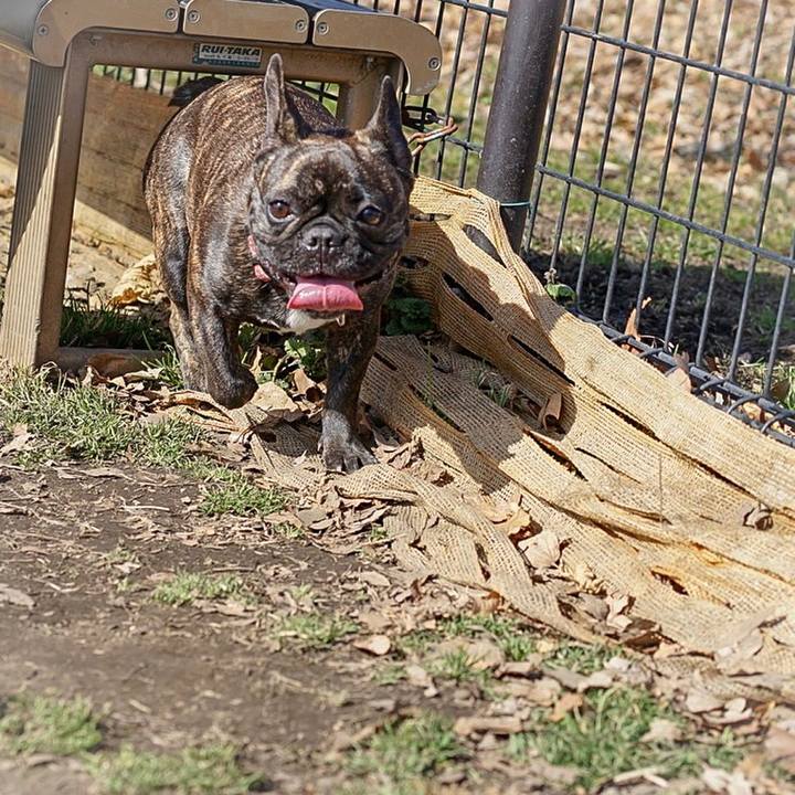 365ef356 8890 46a7 ad0f 9797fff71390 1518786375340