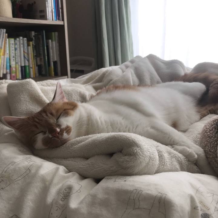 365f39ca 89fc 4694 bd02 ea4acc629041 1588473060692