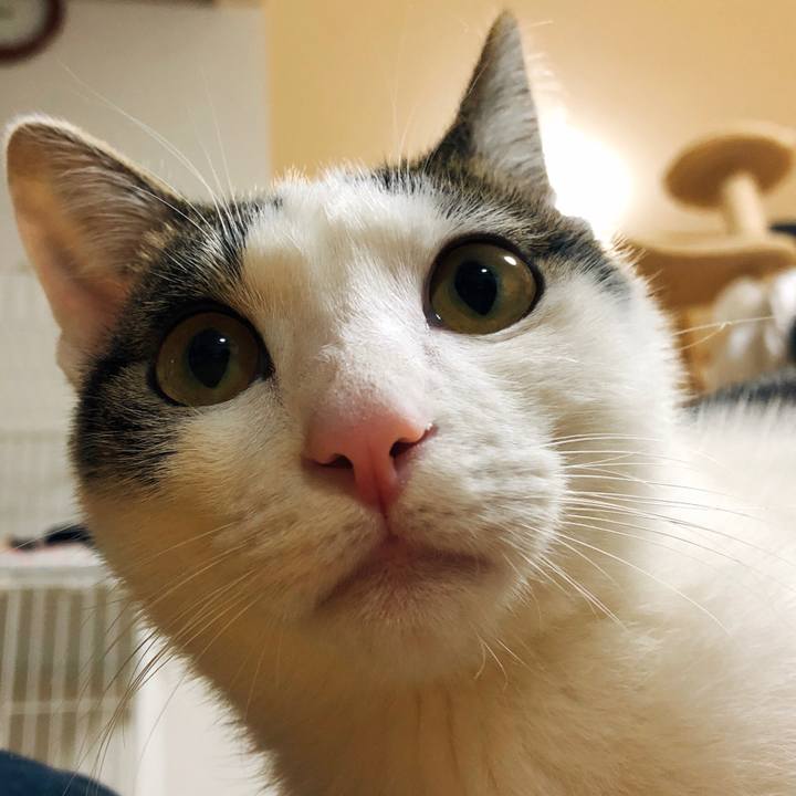 365f457f 4c15 4dbd b2ce 52443db8a10a 1580043838762