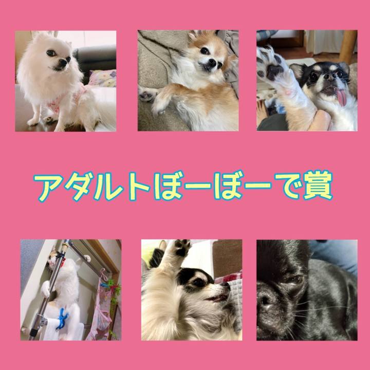 365f4cce 1bf2 444c b7dc 9694617bd4c9 1676770581325