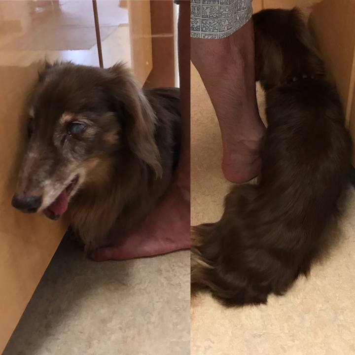 365f5317 0a42 470a b841 18591c58f18f 1596346179117