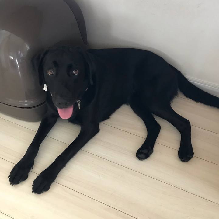 365f75f9 9bb4 43b7 8234 d8733c6856e9 1563835848724