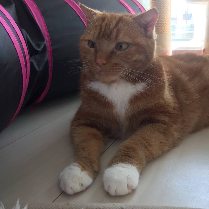 365f82ad bed9 4adf 9c68 a0af6361269c 1602381078277