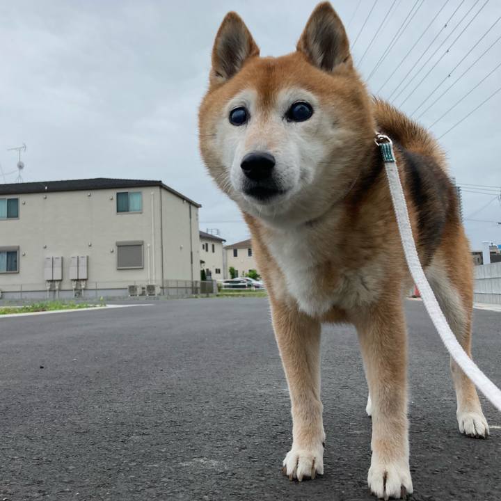 365faef4 7547 4fb1 968f 0f1e79941321 1747612391245