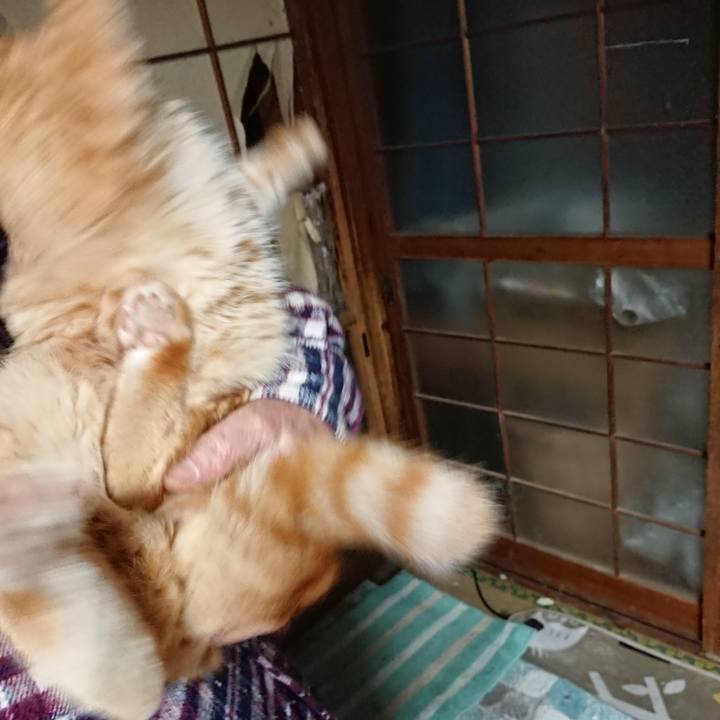 365fc192 bb27 437e b9eb 6b0b362534c6 1640514259620