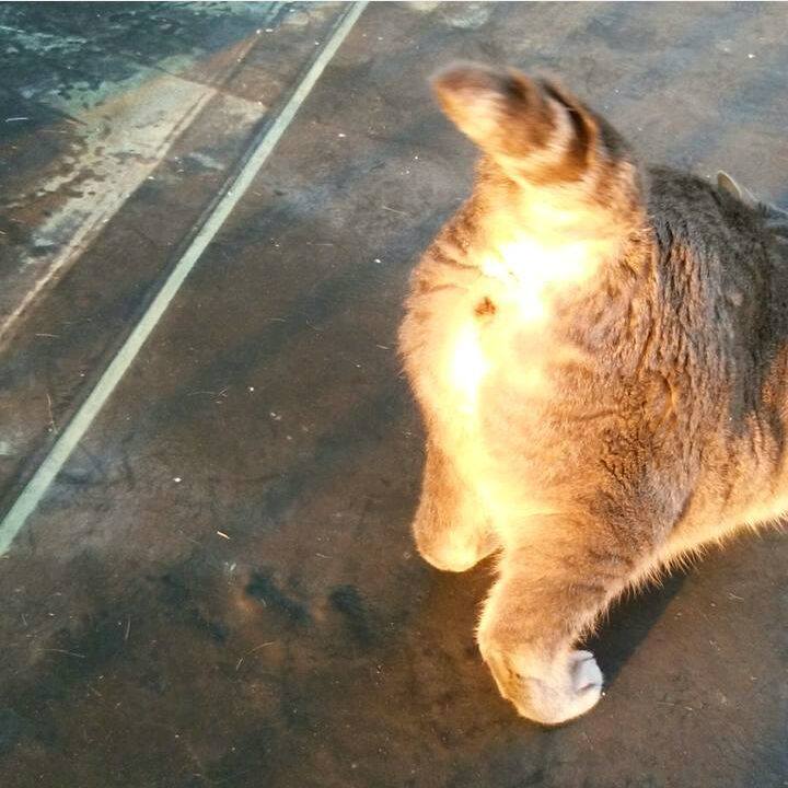 365fdc93 f024 46df a9c1 233ce71d90d6 1522057452076