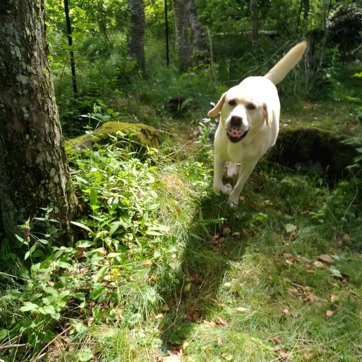 366007da 6886 4057 ba20 38ef8ac204b9 1628585137220