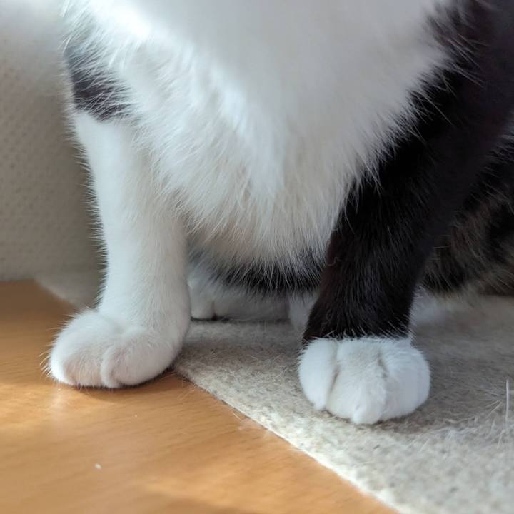 36600e36 34ea 4b22 a217 3cf6094dc3d6 1704255818455