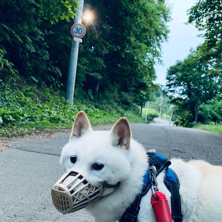 3660163a ae4f 4af4 8913 62574ebc730f 1661200758195