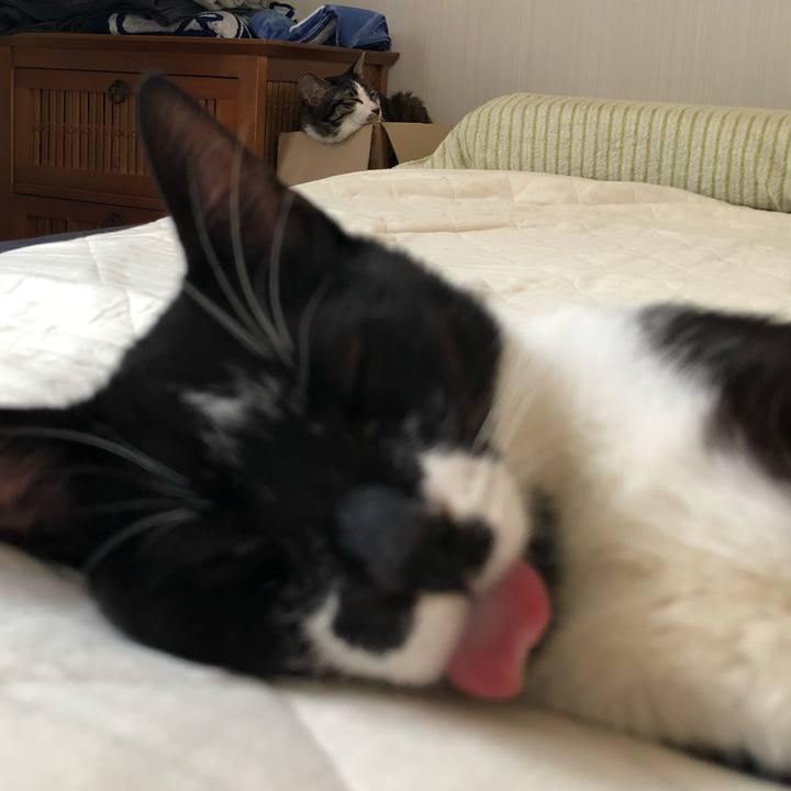 366041c8 a411 494a bacd 0b558689a682 1532582546176