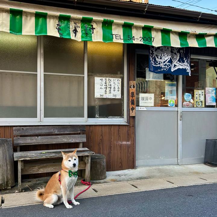 36605123 c105 4e4e bedc 79714722017a 1702207565207