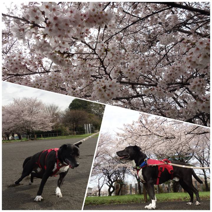 3660d121 1a36 483f 9025 e50ec36c2b1e 1679622188261