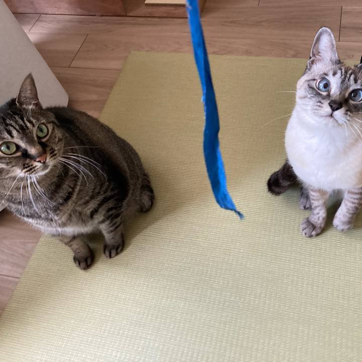 3660d3a2 8ce2 427e 928f 8f1b09e4c657 1647742850198