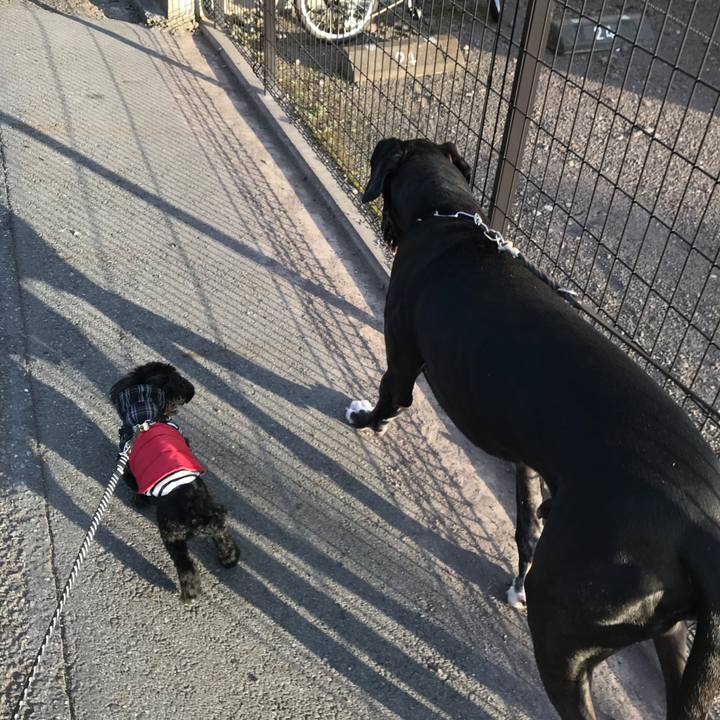 36610123 9c9e 4d3a 9724 dc9460563d41 1512896832816