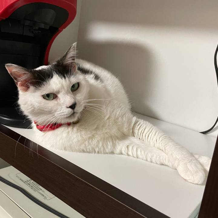 36610a25 289d 45c2 891c 219251eed673 1624780101854