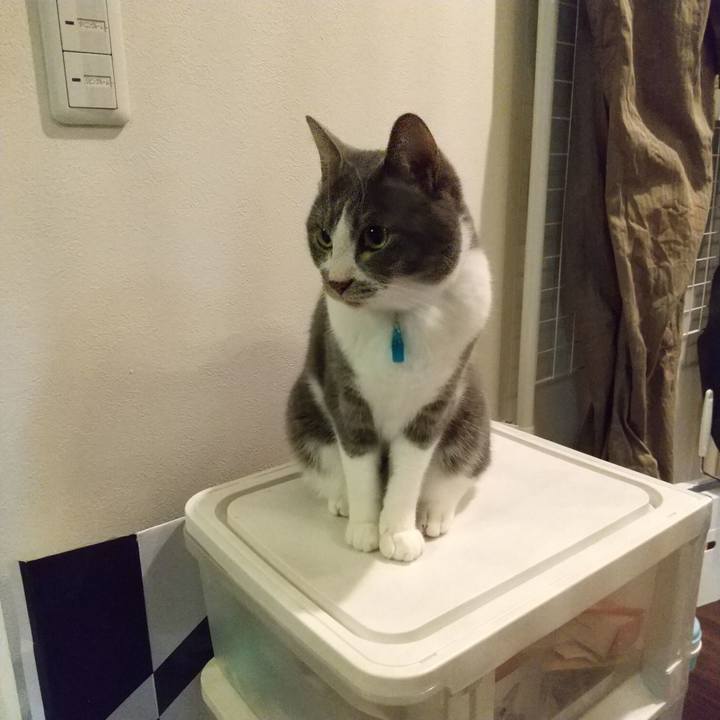 36611326 3463 4c8a 9b39 ab4e063a74dc 1645047452292