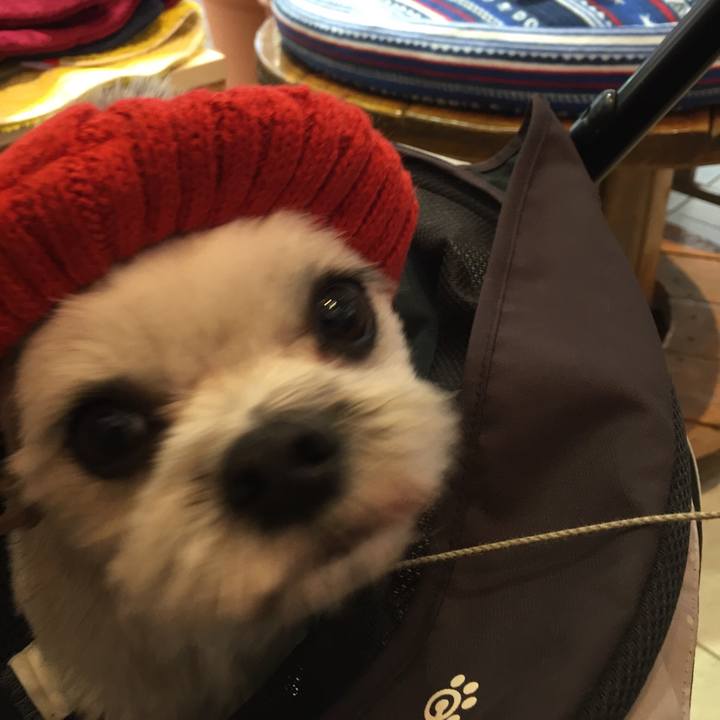 3661817d 4f6a 4664 a86f 1828c44ca018 1540796469186