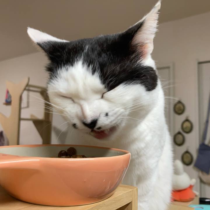 36618c43 51e3 43fe aa81 23e110013119 1773174615896