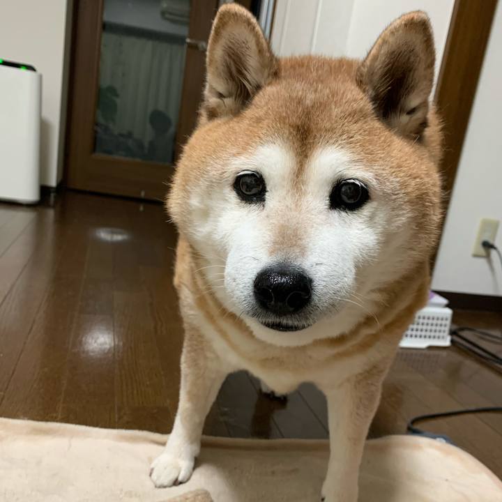 3661c23b 3bc1 49bf a52e 1afe7efbf8f7 1580122681585