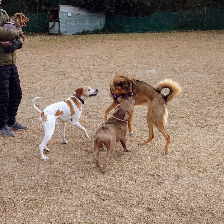 3661cd57 1e4c 4a49 9ccb 9ee7b0ca5a50 1737248762383