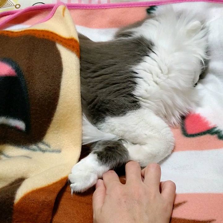 3661ce16 3fb4 4381 97fa 35a4a79a06f3 1583277578463