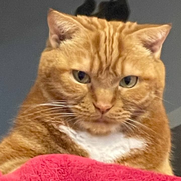 3661dc94 fc47 4762 aa4a 9e62a7dcafb5 1735988544977