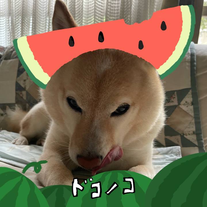 366208b5 e8a5 49b2 9f90 e32274d52d6c 1721102436458