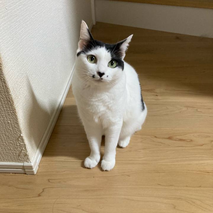 36622850 6296 4c33 a92f 58629f819214 1759090894109