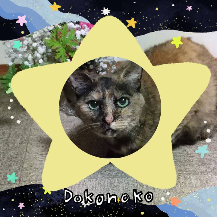 36622dac 7a8c 4c7c b3d3 1b61258a142f 1720960349078