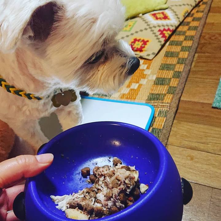 36627097 8130 4aa1 84bd dbdf6c7a7958 1592225255163