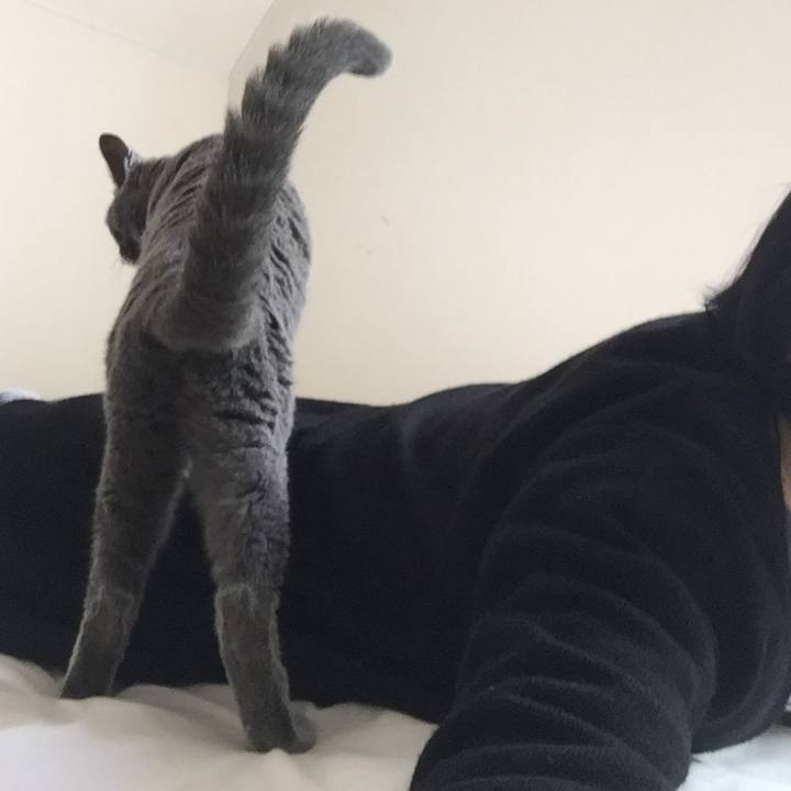 3662a920 1644 4f5f b1d8 36648742287e 1550531339906